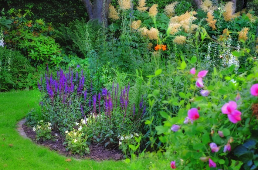 Por qué y cómo construir tu propio jardín de lluvia en la ciudad